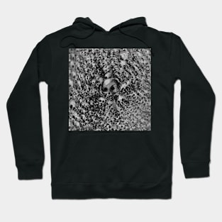 Kaleidoskull Hoodie